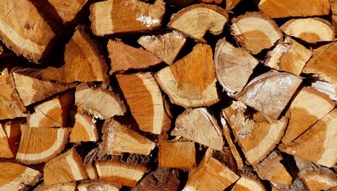 Обои дерево, текстура, фон, дрова, firewoods, лесоматериал, поленница, tree, texture, background, wood, timber разрешение 4000x3000 Загрузить