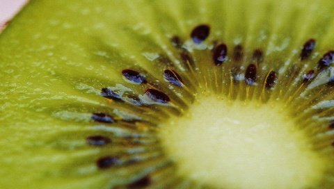 Обои фрукты, киви, крупным планом, fruit, kiwi, closeup разрешение 6016x4000 Загрузить