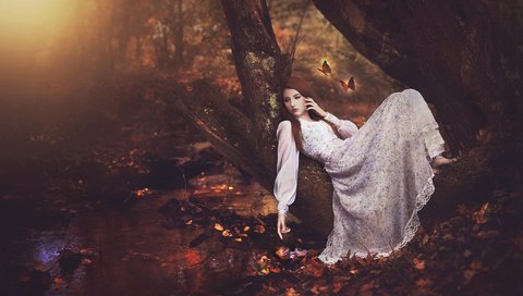 Обои арт, ночь, лес, девушка, платье, поза, бабочки, art, night, forest, girl, dress, pose, butterfly разрешение 2048x1365 Загрузить