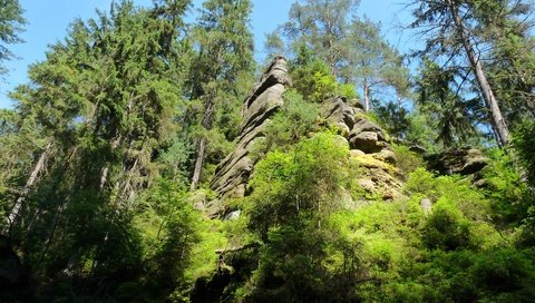 Обои небо, свет, деревья, природа, скала, швейцария, тень, the sky, light, trees, nature, rock, switzerland, shadow разрешение 3648x2736 Загрузить