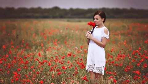 Обои девушка, платье, поле, красные, маки, руки, белое платье, girl, dress, field, red, maki, hands, white dress разрешение 2048x1364 Загрузить