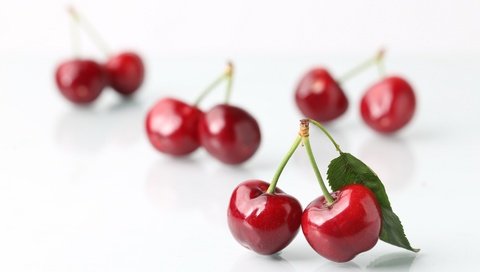 Обои черешня, ягоды, белый фон, вишня, cherry, berries, white background разрешение 5363x3575 Загрузить