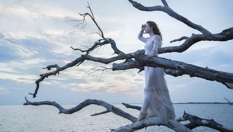 Обои дерево, девушка, море, платье, взгляд, волосы, лицо, tree, girl, sea, dress, look, hair, face разрешение 2048x1365 Загрузить