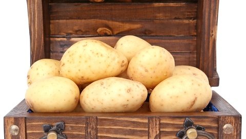 Обои белый фон, овощи, картофель, сундук, white background, vegetables, potatoes, chest разрешение 2376x2136 Загрузить