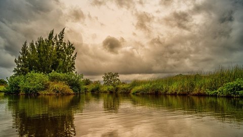 Обои небо, трава, деревья, тучи, кусты, пруд, тропики, пасмурно, the sky, grass, trees, clouds, the bushes, pond, tropics, overcast разрешение 2560x1600 Загрузить