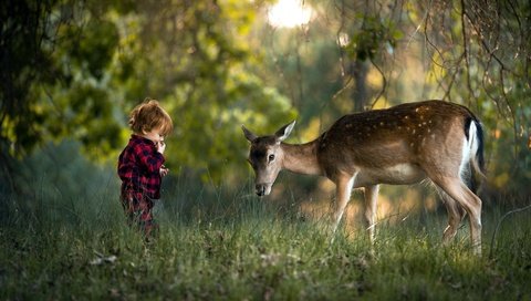 Обои трава, природа, лес, олень, ребенок, мальчик, grass, nature, forest, deer, child, boy разрешение 1920x1080 Загрузить