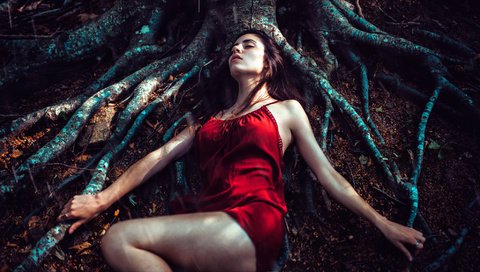 Обои дерево, лес, девушка, платье, сон, корни, отдых, tree, forest, girl, dress, sleep, roots, stay разрешение 2000x1125 Загрузить