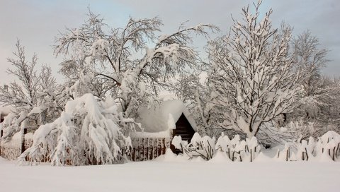 Обои деревья, снег, природа, зима, деревня, домик, trees, snow, nature, winter, village, house разрешение 1920x1200 Загрузить