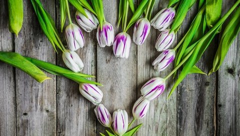 Обои цветы, сердце, доски, тюльпаны, flowers, heart, board, tulips разрешение 2048x1365 Загрузить