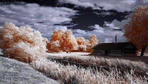 Обои небо, облака, деревья, домик, речка, камыш, the sky, clouds, trees, house, river, reed разрешение 2500x1211 Загрузить