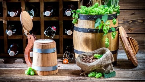 Обои еда, кружка, напитки, пиво, бутылки, хмель, бочонок, food, mug, drinks, beer, bottle, hops, barrel разрешение 2560x1686 Загрузить