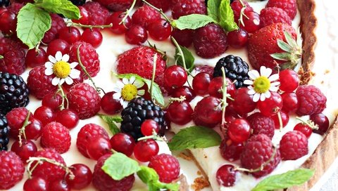 Обои малина, ромашки, ягоды, пирог, ежевика, смородина, raspberry, chamomile, berries, pie, blackberry, currants разрешение 2100x1332 Загрузить