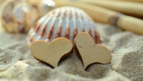 Обои песок, сердце, сердечки, ракушка, sand, heart, hearts, shell разрешение 4928x3264 Загрузить