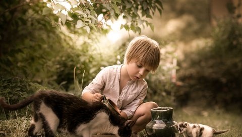 Обои природа, кошка, котенок, мальчик, кувшин, друзья, кормление, nature, cat, kitty, boy, pitcher, friends, feeding разрешение 2048x2048 Загрузить