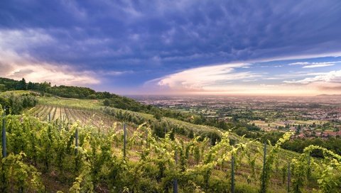 Обои небо, облака, холмы, природа, закат, долина, виноградник, the sky, clouds, hills, nature, sunset, valley, vineyard разрешение 2048x1367 Загрузить