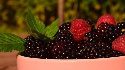 Обои листья, макро, малина, ягоды, чашка, ежевика, leaves, macro, raspberry, berries, cup, blackberry разрешение 6000x3375 Загрузить