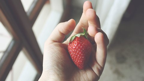 Обои рука, ягода, клубника, окно, пальцы, hand, berry, strawberry, window, fingers разрешение 3888x2592 Загрузить