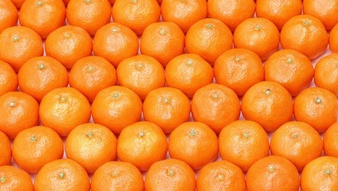 Обои текстура, фрукты, много, мандарины, цитрусы, texture, fruit, a lot, tangerines, citrus разрешение 2950x2094 Загрузить