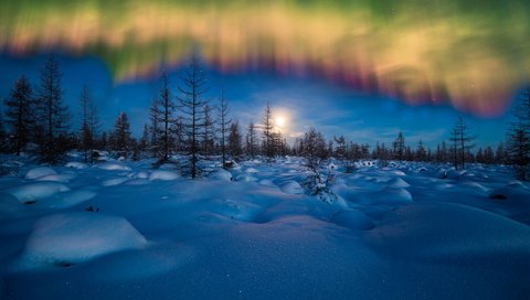 Обои небо, ночь, снег, лес, зима, пейзаж, северное сияние, the sky, night, snow, forest, winter, landscape, northern lights разрешение 2700x1800 Загрузить