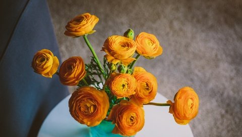 Обои цветы, букет, ранункулюс, лютик, flowers, bouquet, ranunculus, buttercup разрешение 2048x1365 Загрузить