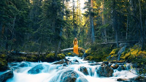 Обои деревья, река, камни, лес, девушка, платье, поток, lizzy gadd, trees, river, stones, forest, girl, dress, stream разрешение 2000x1396 Загрузить