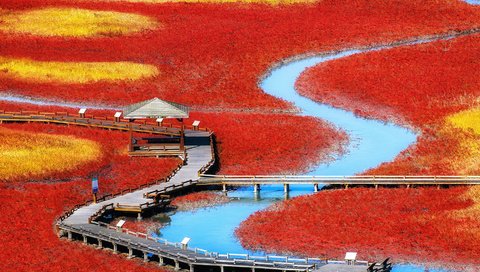 Обои река, природа, пейзаж, поля, мост, корея, деревянный мост, river, nature, landscape, field, bridge, korea, wooden bridge разрешение 2880x2560 Загрузить