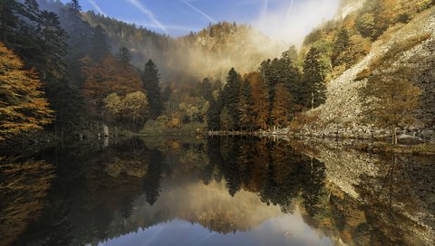 Обои деревья, озеро, горы, природа, лес, отражение, etienne ruff, trees, lake, mountains, nature, forest, reflection разрешение 1920x1200 Загрузить