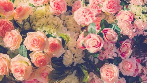 Обои цветы, бутоны, розы, лепестки, букет, flowers, buds, roses, petals, bouquet разрешение 7952x5304 Загрузить