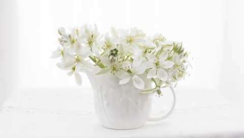 Обои цветы, цветение, фон, цвет, букет, ваза, flowers, flowering, background, color, bouquet, vase разрешение 2048x1367 Загрузить