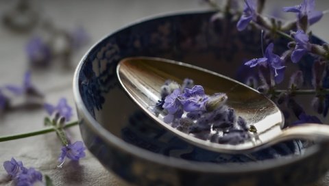 Обои цветы, макро, лаванда, ложка, flowers, macro, lavender, spoon разрешение 2560x1707 Загрузить