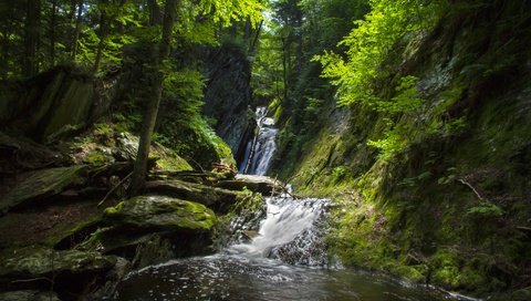 Обои деревья, вода, скалы, камни, лес, водопад, trees, water, rocks, stones, forest, waterfall разрешение 3600x2400 Загрузить