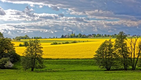 Обои небо, рапс, трава, reckershausen, облака, деревья, поле, домики, германия, солнечно, the sky, rape, grass, clouds, trees, field, houses, germany, sunny разрешение 4200x2500 Загрузить