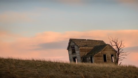 Обои небо, вечер, дерево, поле, дом, the sky, the evening, tree, field, house разрешение 2048x1100 Загрузить