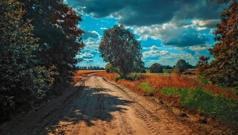 Обои небо, дорога, облака, деревья, природа, пейзаж, the sky, road, clouds, trees, nature, landscape разрешение 1920x1098 Загрузить