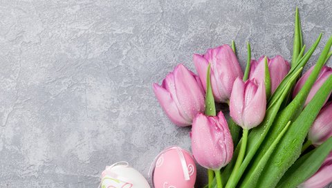 Обои весна, тюльпаны, пасха, spring, tulips, easter разрешение 5616x3744 Загрузить