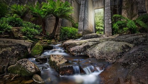 Обои вода, листья, водопад, осень, поток, пальмы, water, leaves, waterfall, autumn, stream, palm trees разрешение 2048x1365 Загрузить