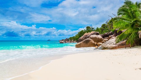 Обои море, пляж, остров, тропики, сейшелы, sea, beach, island, tropics, seychelles разрешение 6605x4408 Загрузить