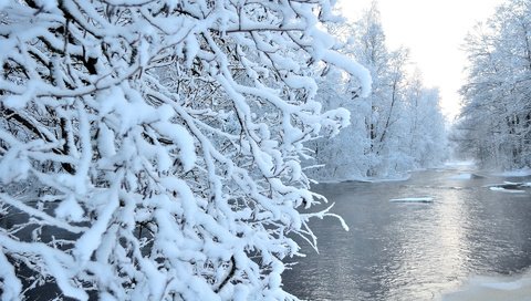 Обои река, снег, природа, лес, зима, river, snow, nature, forest, winter разрешение 1920x1200 Загрузить