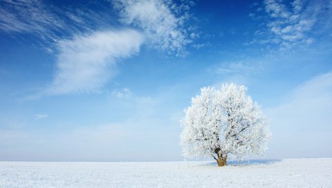 Обои небо, облака, снег, природа, дерево, зима, пейзаж, иней, the sky, clouds, snow, nature, tree, winter, landscape, frost разрешение 2880x1800 Загрузить