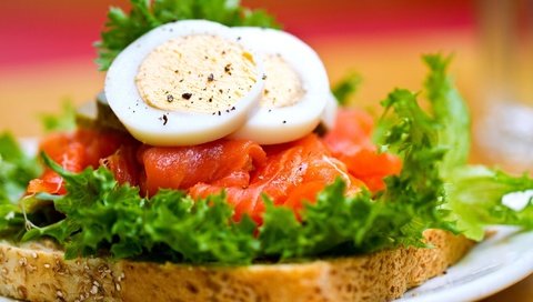 Обои зелень, бутерброд, хлеб, яйца, рыба, яйцо, сэндвич, сёмга, красная рыба, red fish, greens, sandwich, bread, eggs, fish, egg, salmon разрешение 3840x2160 Загрузить