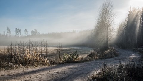 Обои дорога, деревья, природа, зима, туман, иней, road, trees, nature, winter, fog, frost разрешение 2560x1600 Загрузить