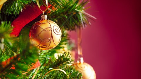 Обои новый год, елка, шары, рождество, елочные игрушки, eye-d studio, new year, tree, balls, christmas, christmas decorations разрешение 1920x1200 Загрузить