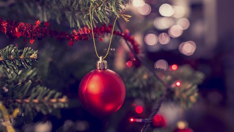 Обои новый год, елка, шар, рождество, гирлянда, new year, tree, ball, christmas, garland разрешение 3840x2400 Загрузить