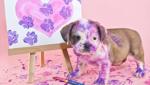 Обои картина, краски, собака, щенок, английский бульдог, picture, paint, dog, puppy, english bulldog разрешение 1920x1200 Загрузить