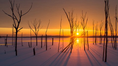 Обои деревья, солнце, снег, закат, зима, пейзаж, trees, the sun, snow, sunset, winter, landscape разрешение 1920x1200 Загрузить