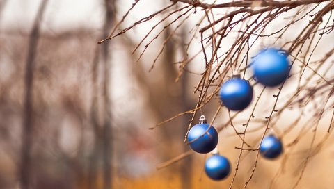 Обои новый год, шары, ветки, рождество, new year, balls, branches, christmas разрешение 1920x1200 Загрузить