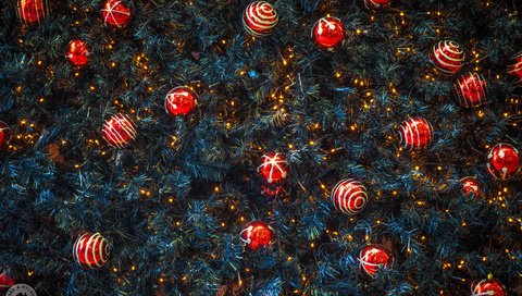 Обои новый год, елка, рождество, елочные игрушки, mark and renae, new year, tree, christmas, christmas decorations разрешение 2048x1365 Загрузить