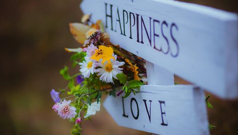 Обои цветы, любовь, букет, счастье, полевые цветы, указатель, flowers, love, bouquet, happiness, wildflowers, index разрешение 2880x1800 Загрузить