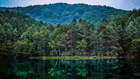 Обои деревья, озеро, природа, лес, отражение, водоем, trees, lake, nature, forest, reflection, pond разрешение 2880x1800 Загрузить