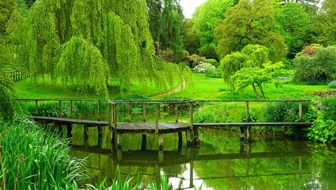 Обои деревья, река, мостик, парк, лето, англия, trees, river, the bridge, park, summer, england разрешение 3900x2600 Загрузить